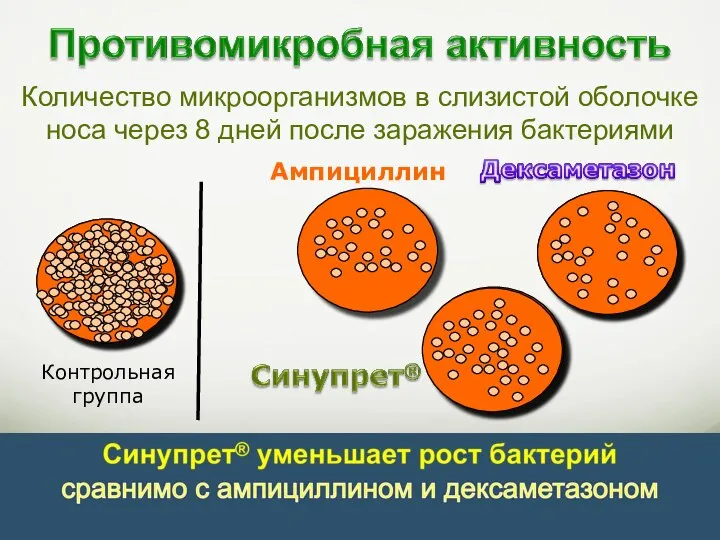 Ампициллин Количество микроорганизмов в слизистой оболочке носа через 8 дней после заражения бактериями Контрольная группа