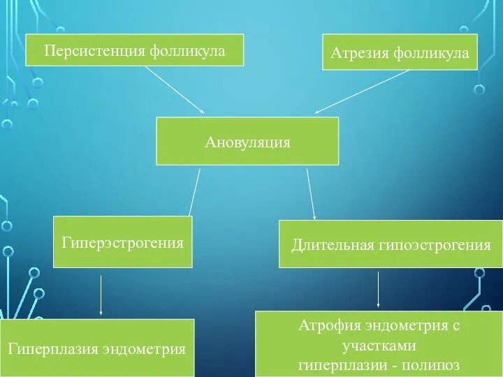 Ановуляция Персистенция фолликула Атрезия фолликула Гиперэстрогения Длительная гипоэстрогения Гиперплазия эндометрия Атрофия эндометрия