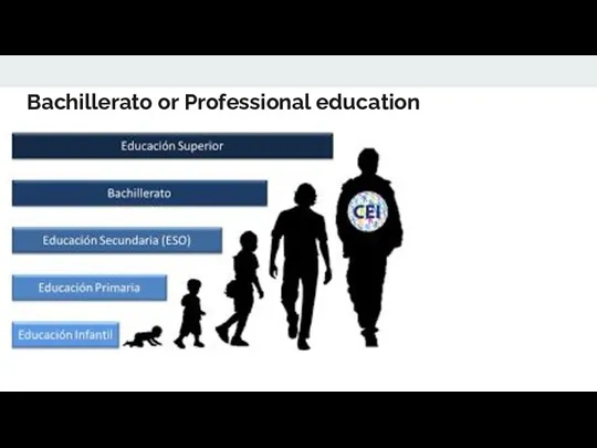 Bachillerato or Professional education