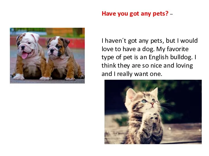 Have you got any pets? – I haven´t got any pets, but