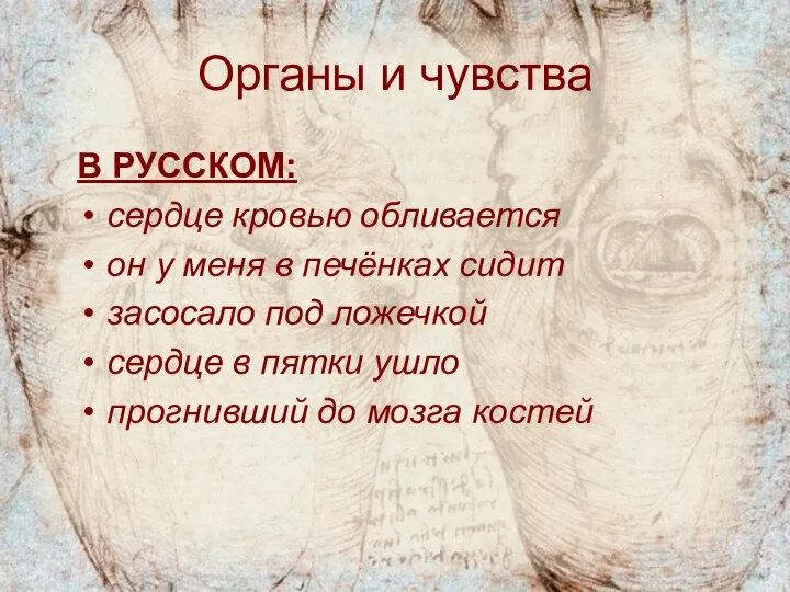 Органы и чувства В РУССКОМ: сердце кровью обливается он у меня в