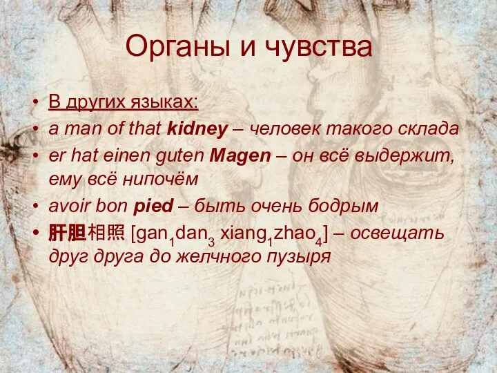 Органы и чувства В других языках: a man of that kidney –