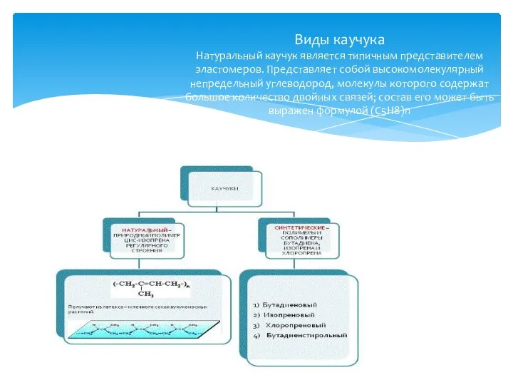 Виды каучука Натуральный каучук является типичным представителем эластомеров. Представляет собой высокомолекулярный непредельный