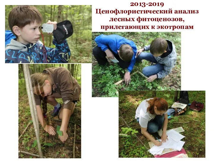 2013-2019 Ценофлористический анализ лесных фитоценозов, прилегающих к экотропам
