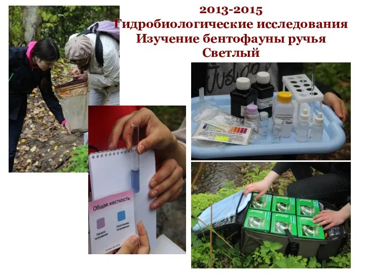 2013-2015 Гидробиологические исследования Изучение бентофауны ручья Светлый