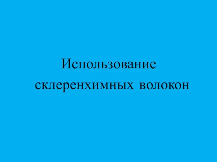 Использование склеренхимных волокон