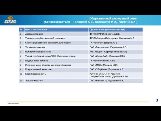 Общественный экспертный совет (Сопредстедатели – Галицкий А.В., Осеевский М.Э., Когогин С.А.)