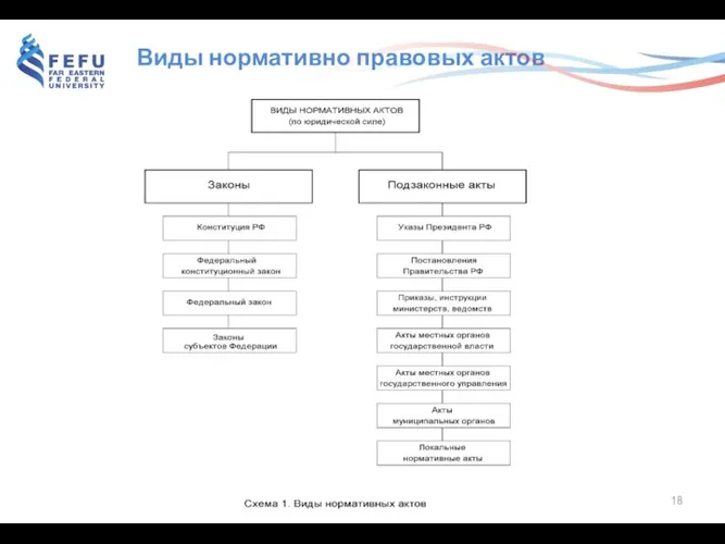 Виды нормативно правовых актов