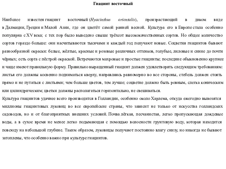 Гиацинт восточный Наиболее известен гиацинт восточный (Hyacinthus orientalis), произрастающий в диком виде