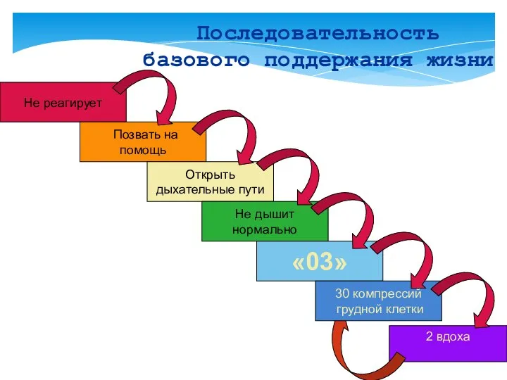 Последовательность базового поддержания жизни 2 вдоха