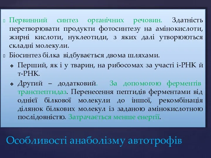 Первинний синтез органічних речовин. Здатність перетворювати продукти фотосинтезу на амінокислоти, жирні кислоти,