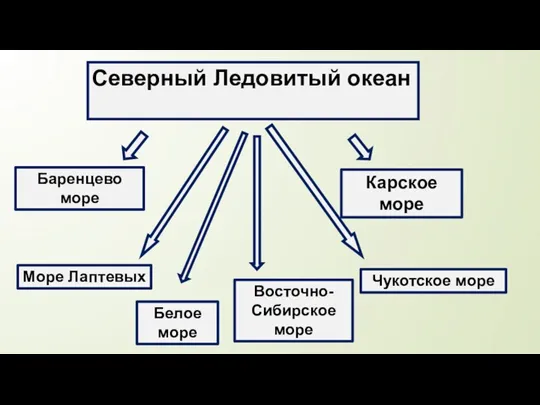 Северный Ледовитый океан Баренцево море Белое море Карское море Море Лаптевых Восточно-Сибирское море Чукотское море