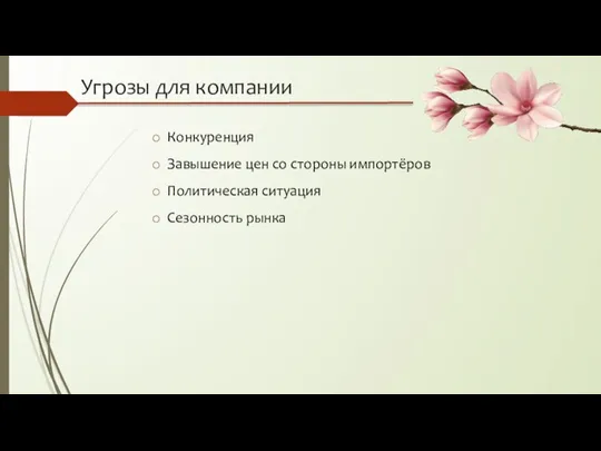 Угрозы для компании Конкуренция Завышение цен со стороны импортёров Политическая ситуация Сезонность рынка