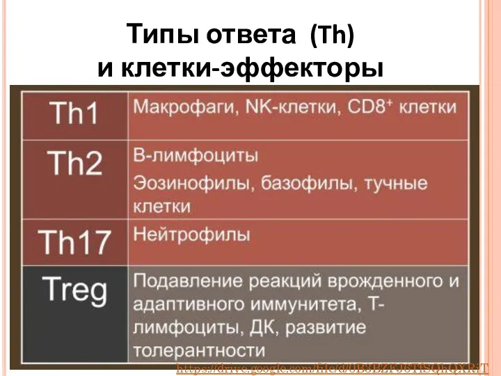 Типы ответа (Th) и клетки-эффекторы https://drive.google.com/file/d/0B3BZFJ6TfSQhQXRiTG9UNFBYX2M/view?pref=2&pli=1