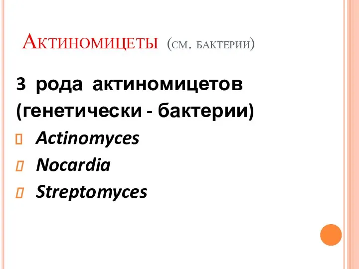 Актиномицеты (см. бактерии) 3 рода актиномицетов (генетически - бактерии) Actinomyces Nocardia Streptomyces