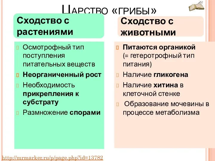 Царство «грибы» Сходство с растениями Осмотрофный тип поступления питательных веществ Неорганиченный рост