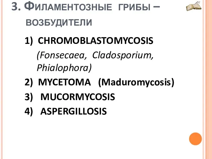 3. Филаментозные грибы – возбудители 1) CHROMOBLASTOMYCOSIS (Fonsecaea, Cladosporium, Phialophora) 2) MYCETOMA