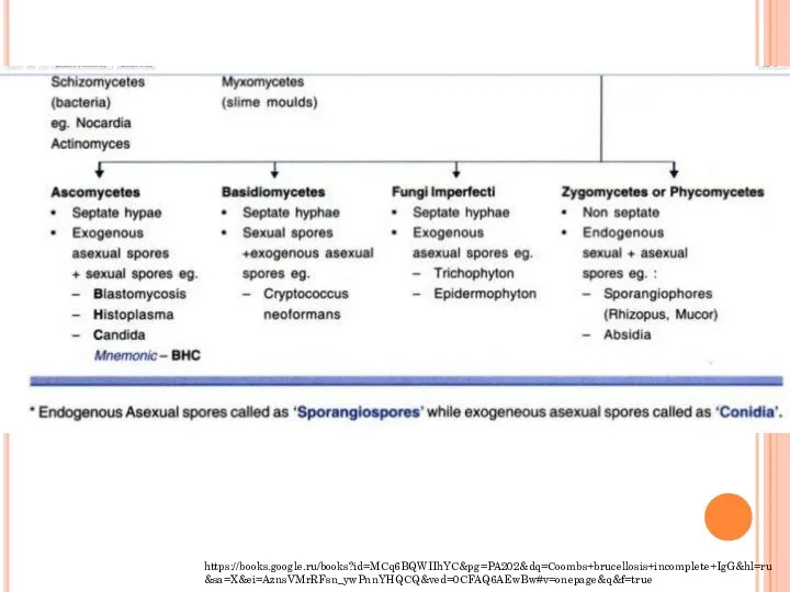 https://books.google.ru/books?id=MCq6BQWIIhYC&pg=PA202&dq=Coombs+brucellosis+incomplete+IgG&hl=ru&sa=X&ei=AznsVMrRFsn_ywPnnYHQCQ&ved=0CFAQ6AEwBw#v=onepage&q&f=true