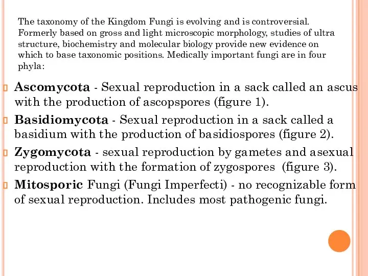 The taxonomy of the Kingdom Fungi is evolving and is controversial. Formerly