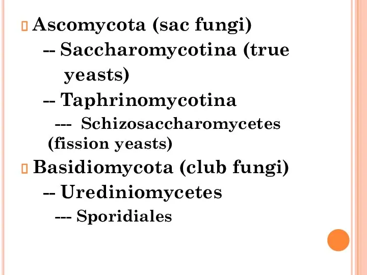 Ascomycota (sac fungi) -- Saccharomycotina (true yeasts) -- Taphrinomycotina --- Schizosaccharomycetes (fission