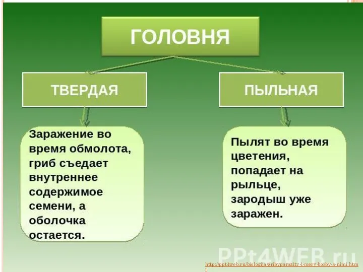 http://ppt4web.ru/biologija/gribyparazity-i-mery-borby-s-nimi.html
