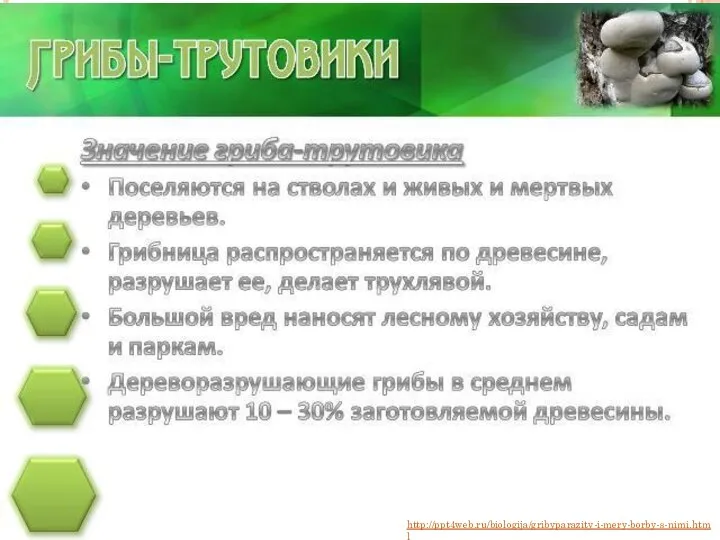 http://ppt4web.ru/biologija/gribyparazity-i-mery-borby-s-nimi.html