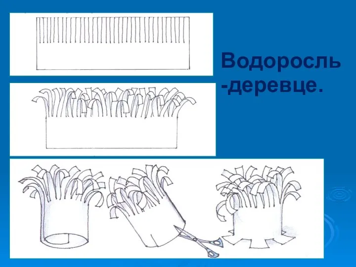 Водоросль -деревце.