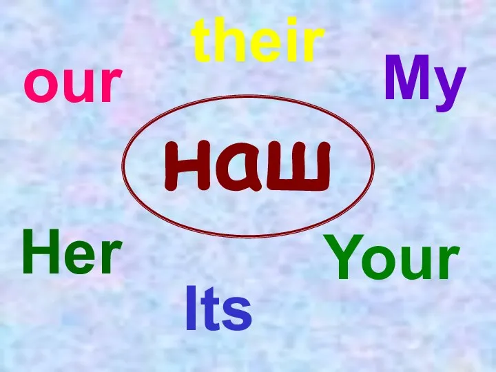 our наш Her My Its their Your
