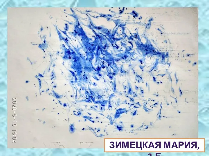 ЗИМЕЦКАЯ МАРИЯ, 2-Б