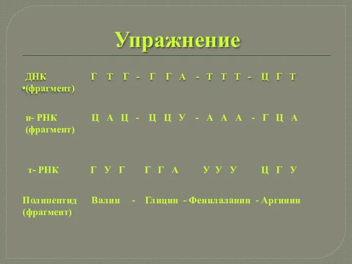 Упражнение ДНК Г Т Г - Г Г А - Т Т