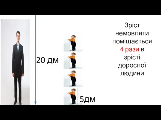 20 дм 5дм Зріст немовляти поміщається 4 рази в зрісті дорослої людини