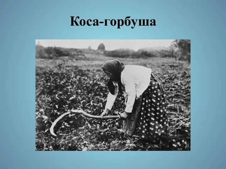 Коса-горбуша