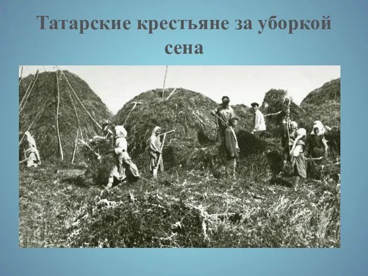 Татарские крестьяне за уборкой сена