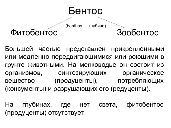 Большей частью представлен прикрепленными или медленно передвигающимися или роющими в грунте животными.