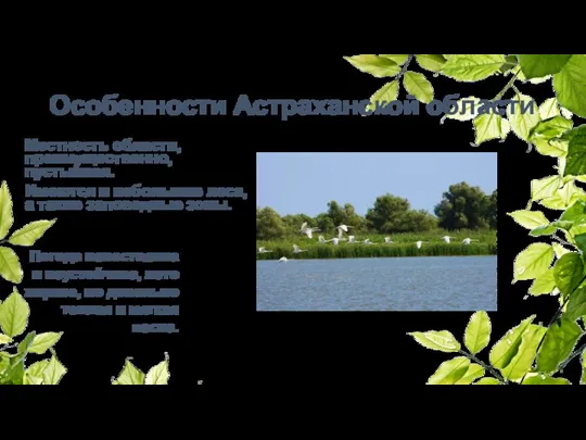 Особенности Астраханской области Местность области, преимущественно, пустынная. Имеются и небольшие леса, а