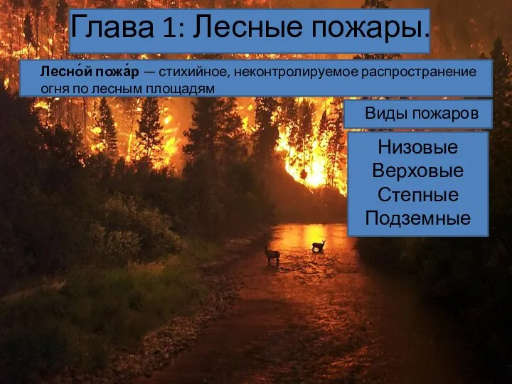 Глава 1: Лесные пожары. Лесно́й пожа́р — стихийное, неконтролируемое распространение огня по