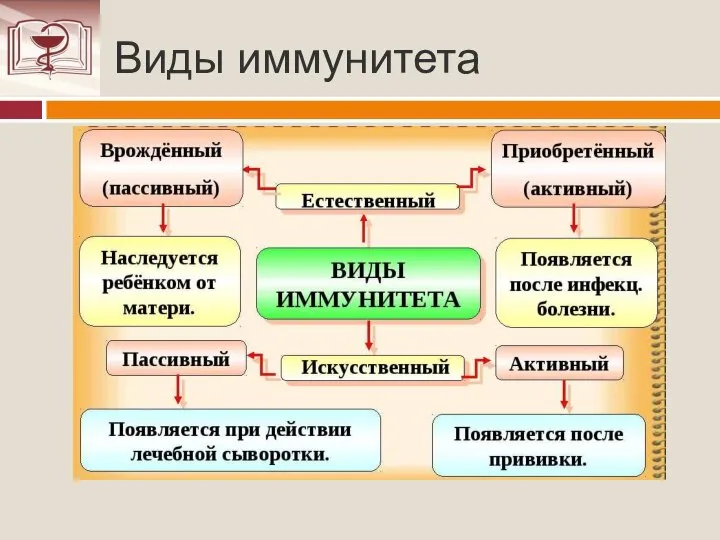 Виды иммунитета