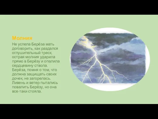 Молния Не успела Берёза мать договорить, как раздался оглушительный треск, острая молния