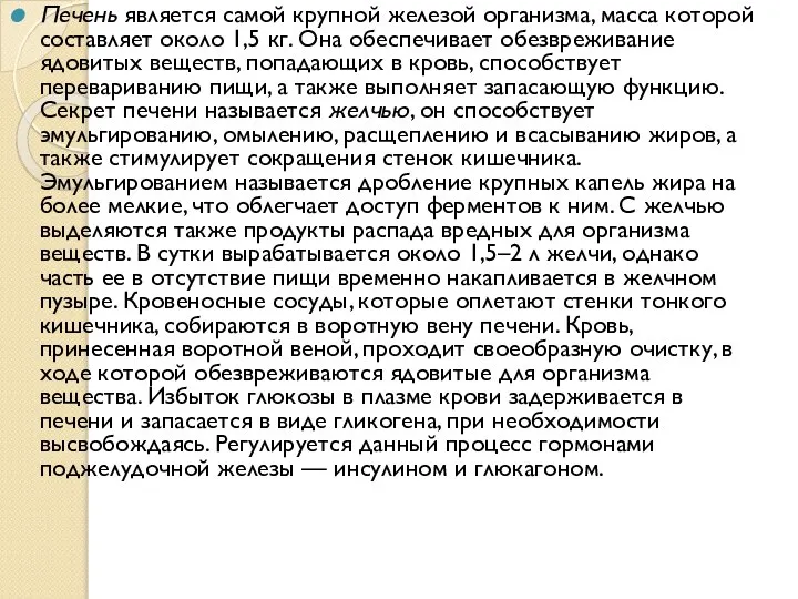 Печень является самой крупной железой организма, масса которой составляет около 1,5 кг.