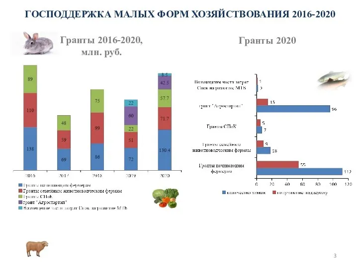 Гранты 2016-2020, млн. руб. Гранты 2020 ГОСПОДДЕРЖКА МАЛЫХ ФОРМ ХОЗЯЙСТВОВАНИЯ 2016-2020