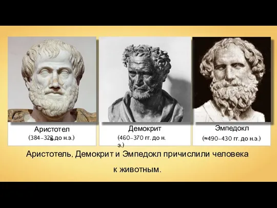 Аристотель, Демокрит и Эмпедокл причислили человека к животным.