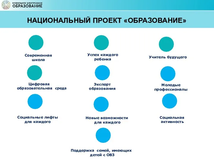 Современная школа Успех каждого ребенка Поддержка семей, имеющих детей с ОВЗ Цифровая