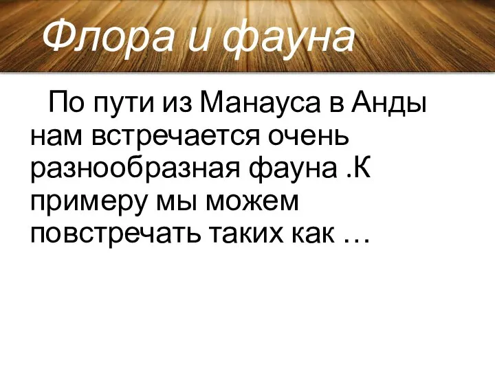 Флора и фауна По пути из Манауса в Анды нам встречается очень