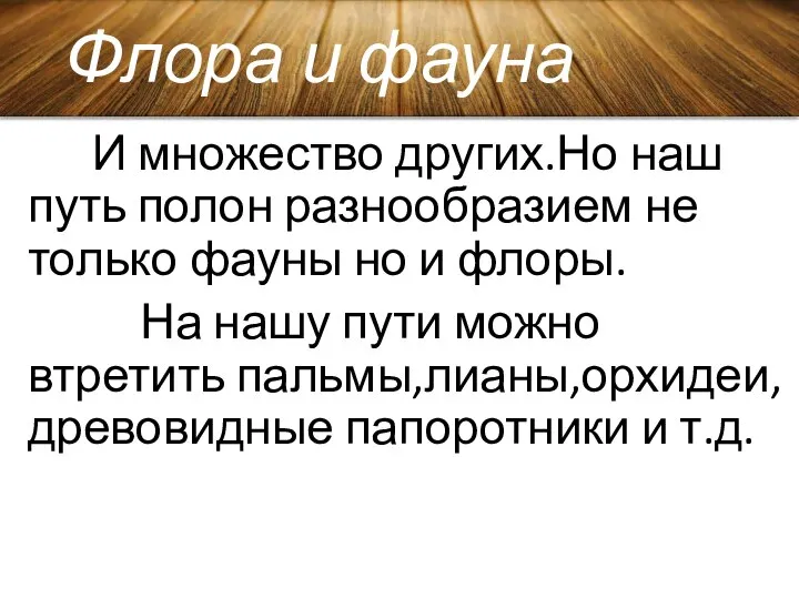 Флора и фауна И множество других.Но наш путь полон разнообразием не только