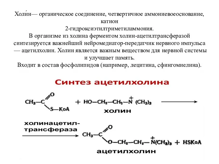 Холи́н— органическое соединение, четвертичное аммониевоеоснование,катион 2-гидроксиэтилтриметиламмония. В организме из холина ферментом холин-ацетилтрансферазой
