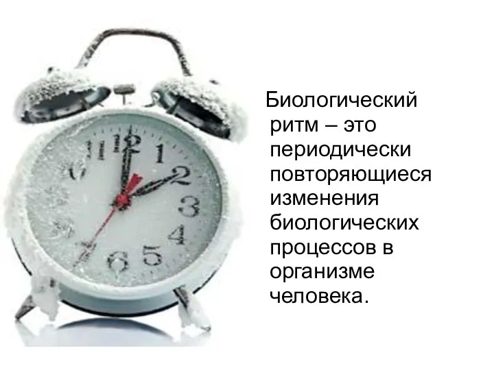 Биологический ритм – это периодически повторяющиеся изменения биологических процессов в организме человека.