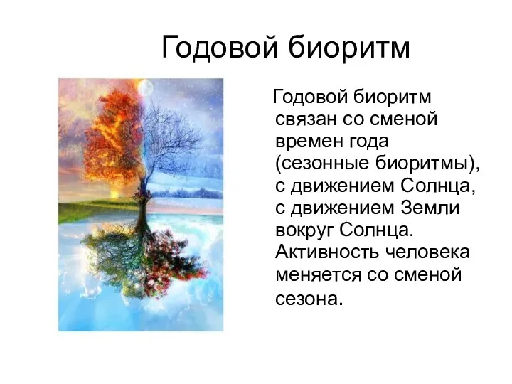 Годовой биоритм Годовой биоритм связан со сменой времен года (сезонные биоритмы), с