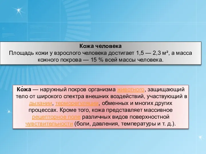 Ко́жа — наружный покров организма животного, защищающий тело от широкого спектра внешних