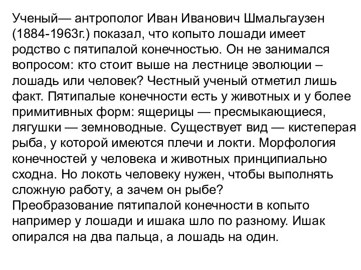 Ученый— антрополог Иван Иванович Шмальгаузен (1884-1963г.) показал, что копыто лошади имеет родство