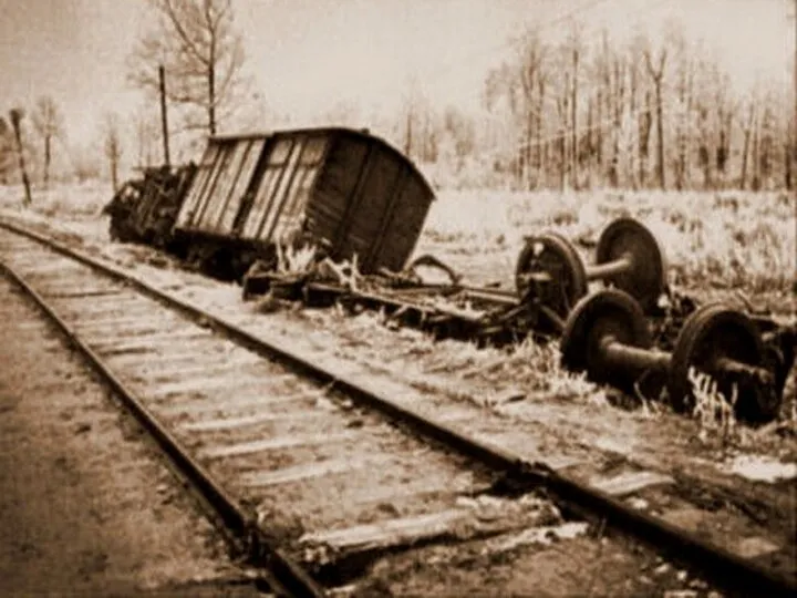 Вот один эпизод из боевой деятельности отряда Воронина, о котором в 1941